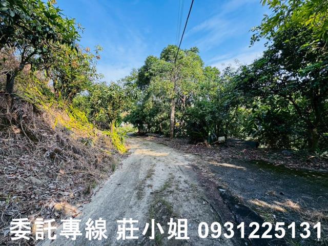 台南左鎮農地-7