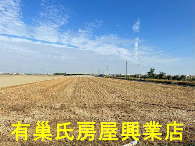 朴子農地-10