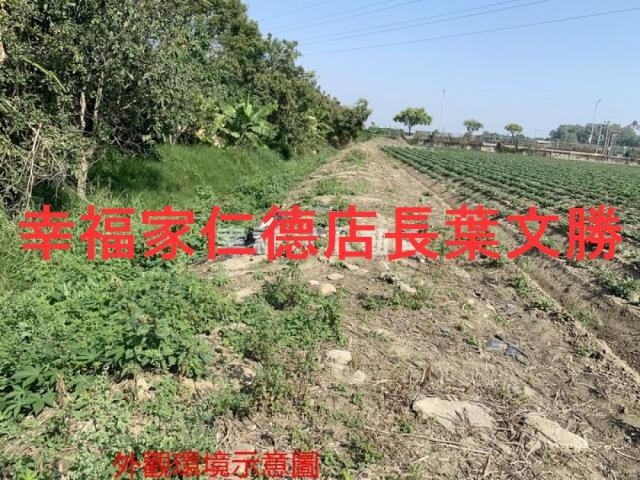 善化農地-7