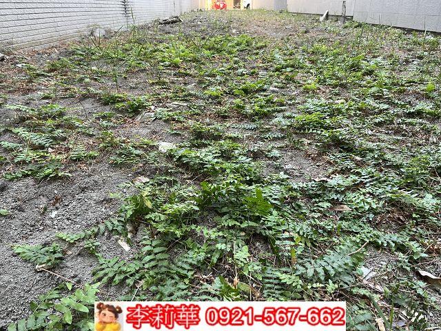 台南建地-6