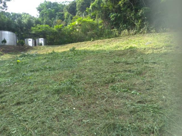 太平農地_山坡地-11