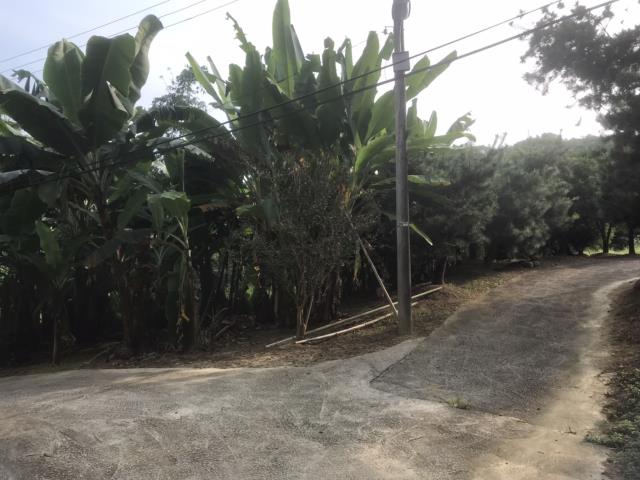 太平農地_山坡地-12