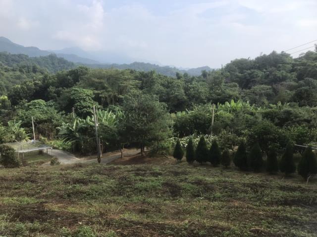 太平農地_山坡地-14