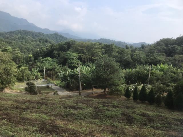 太平農地_山坡地-1