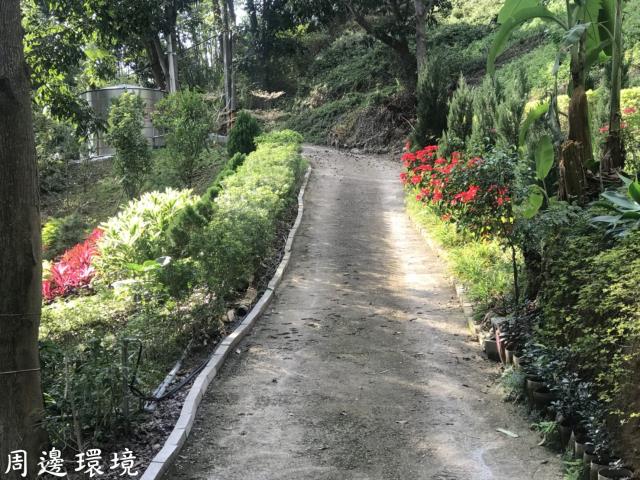 太平農地_山坡地-6