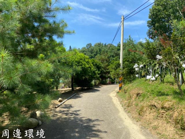 太平農地_山坡地-7