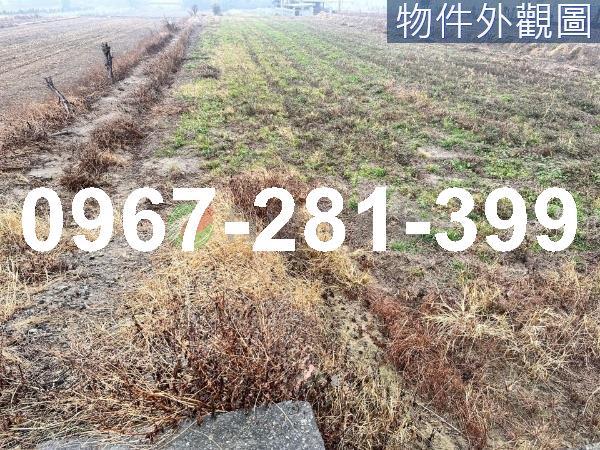 後龍農地_休閒地-4