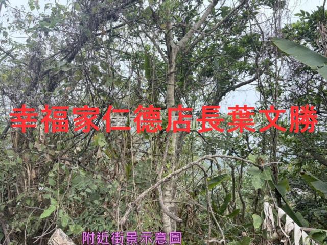 台南白河農地-6