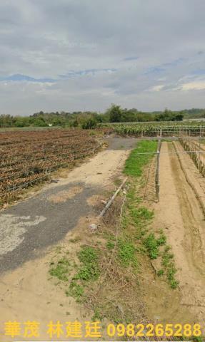 嘉義中埔農地法拍-1