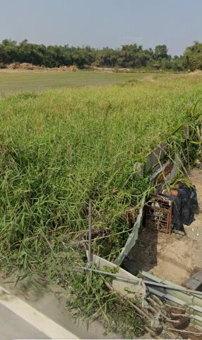 嘉義大林法拍農地-4