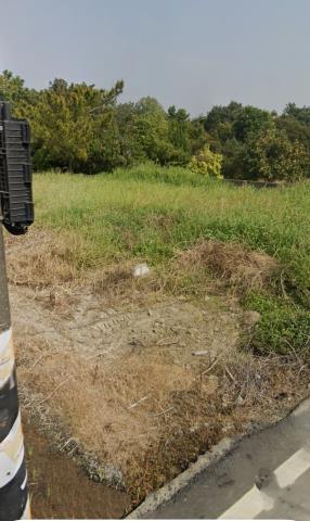 嘉義大林法拍農地-5