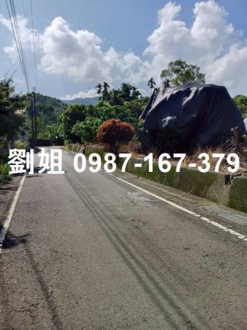 竹山農地_休閒地-1