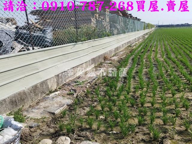 台南農地-9