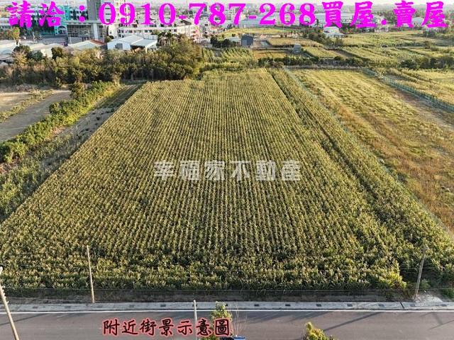 台南西港農地-2