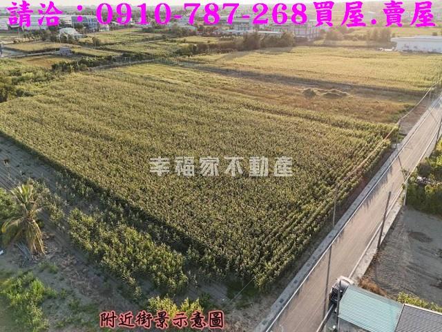 台南西港農地-4