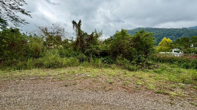 新竹橫山農地-8