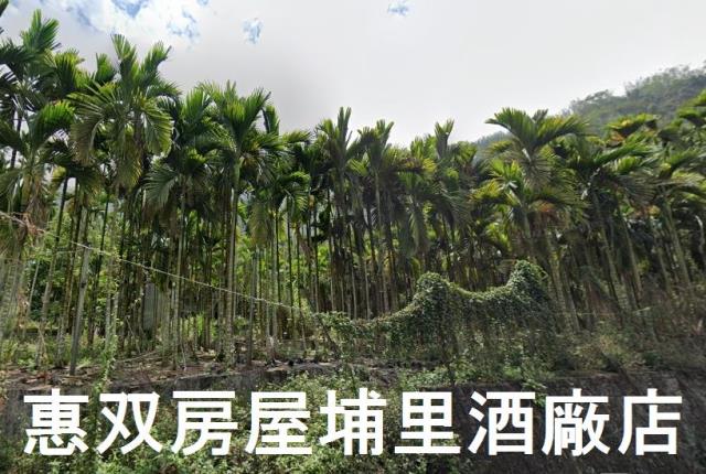 南投魚池農地-2