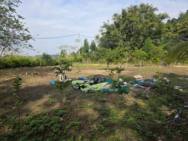 新竹橫山農地_林地-3