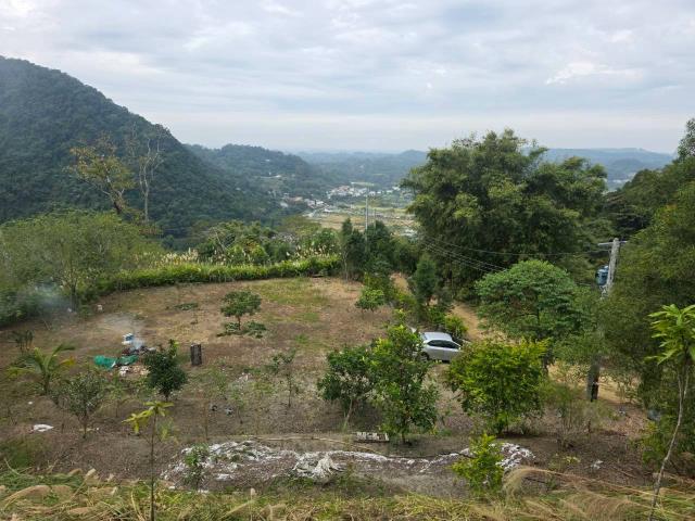 新竹橫山農地_林地-1