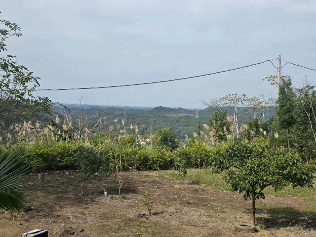 新竹橫山農地_林地-4