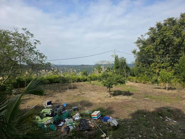 新竹橫山農地_林地-5