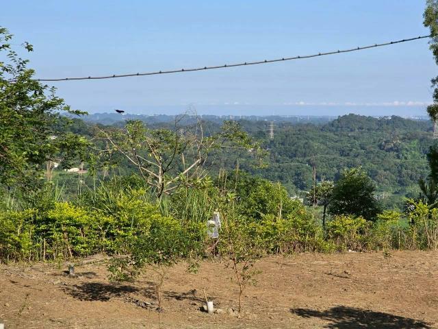 新竹橫山農地_林地-7