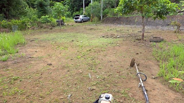 新竹橫山農地_林地-8