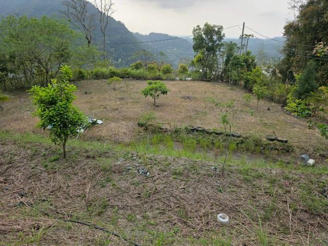 新竹橫山農地_林地-9