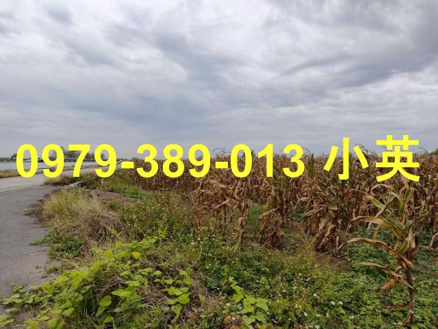 台南鹽水農地-8