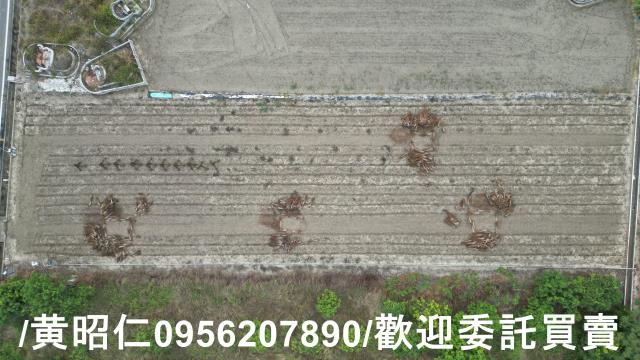 善化農地-7