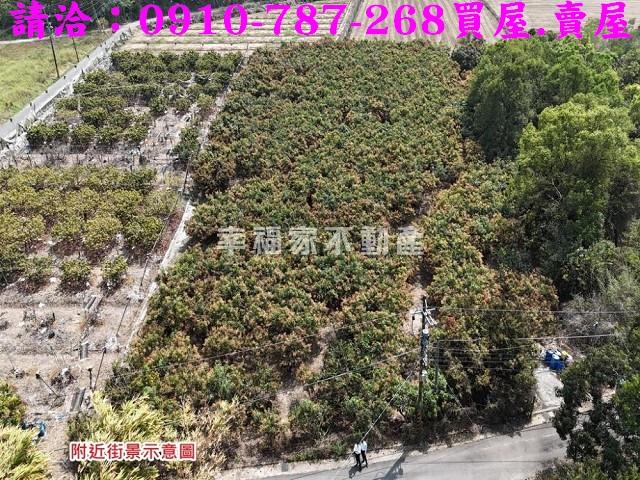 台南官田農地-11