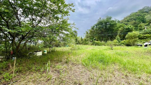 新竹橫山農地-7