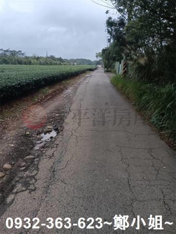 桃園龍潭農地-5