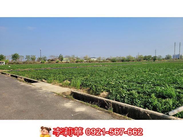 台南農地-5
