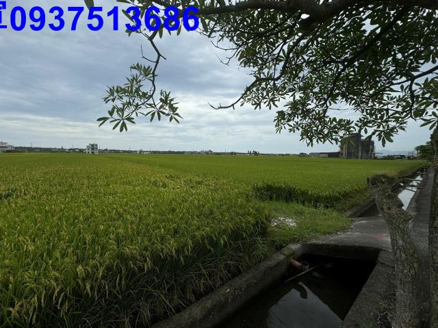 宜蘭壯圍農地-7