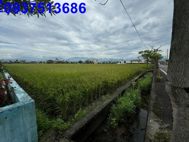 宜蘭壯圍農地-11