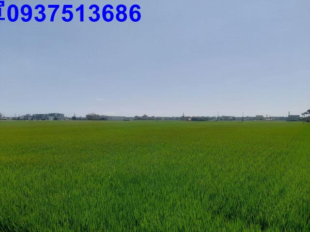 宜蘭縣壯圍鄉古結段農地出售