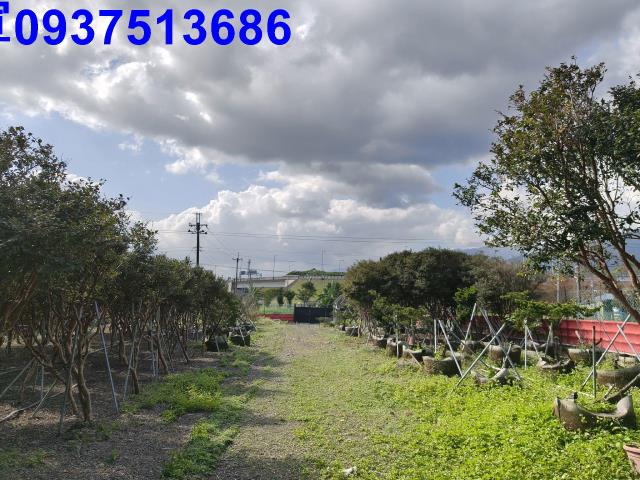 宜蘭礁溪農地-9