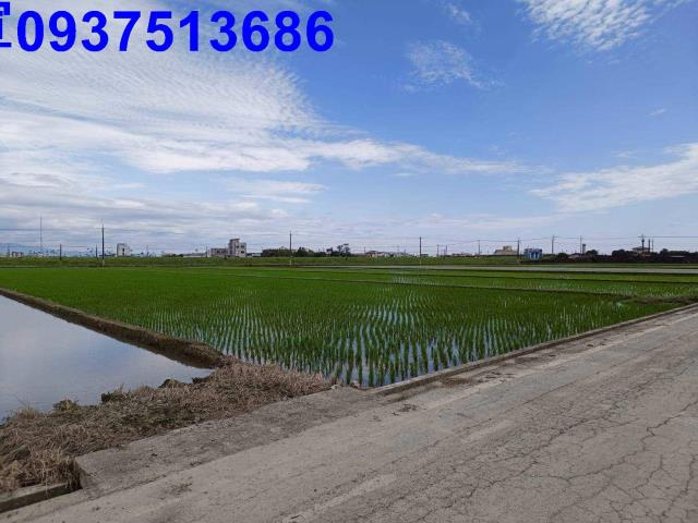 宜蘭壯圍農地-3