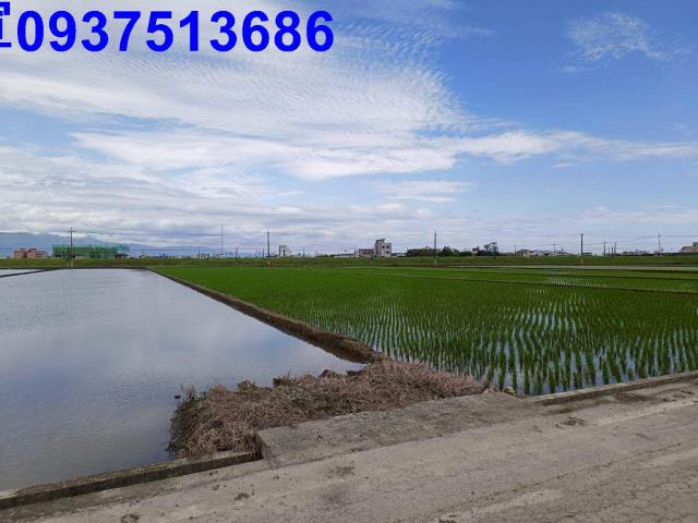 宜蘭壯圍農地-4