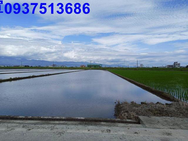 宜蘭壯圍農地-6