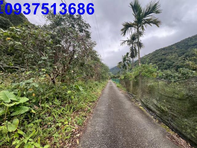 宜蘭員山農地-6