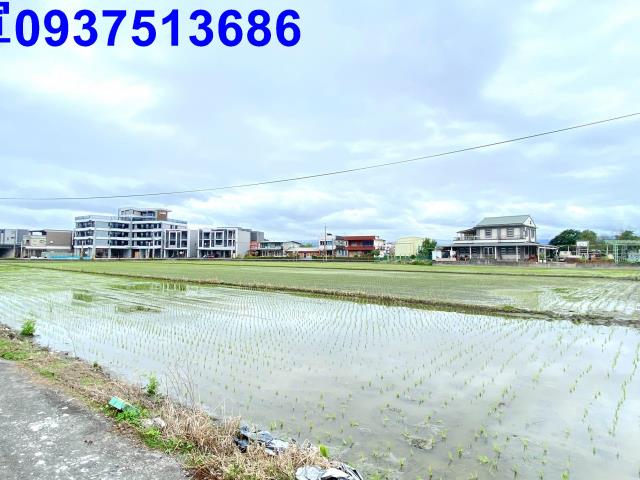 宜蘭宜蘭市農地-1