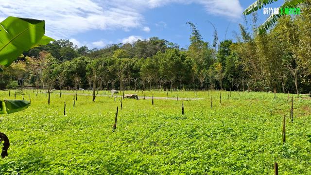 新竹農地_山坡地_休閒地-10