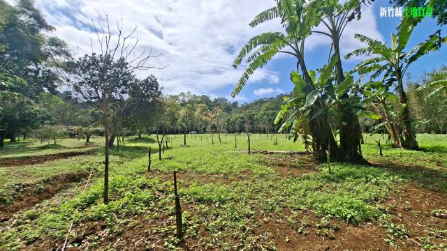新竹農地_山坡地_休閒地-11
