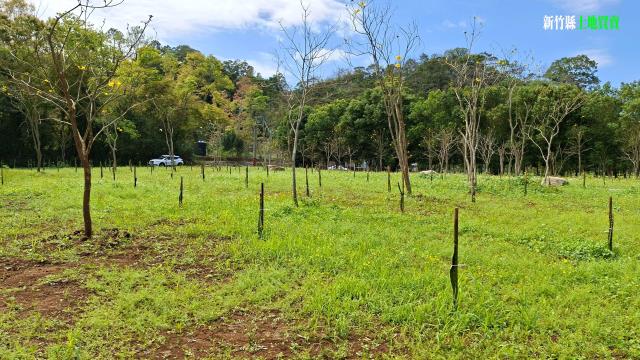 新竹農地_山坡地_休閒地-12