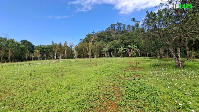 新竹農地_山坡地_休閒地-13