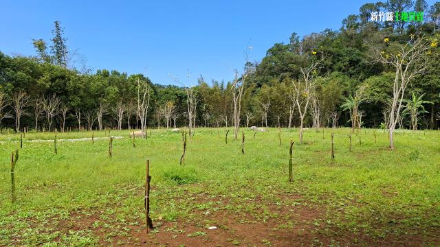 新竹農地_山坡地_休閒地-14