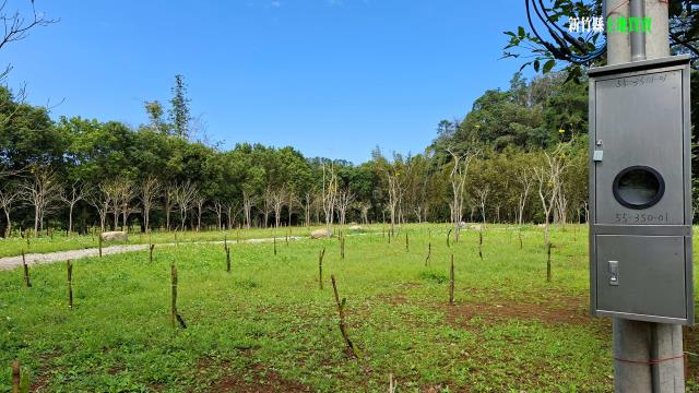 新竹農地_山坡地_休閒地-15