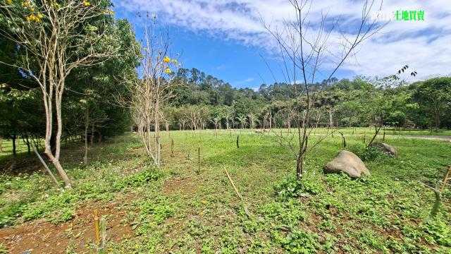 新竹農地_山坡地_休閒地-5